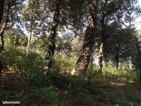 terrain 1 246 m² bollene