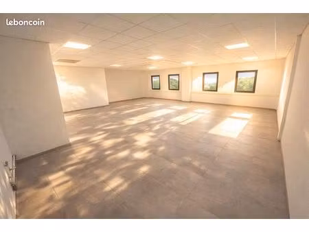 locaux professionnels à louer