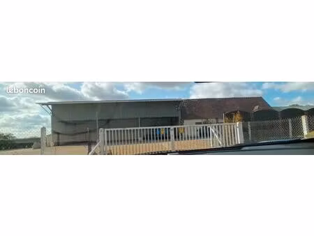 hangar et terrain à louer