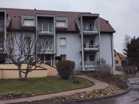 appartement f2 à ribeauvillé