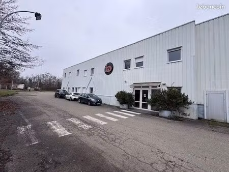 local d'activité de 2370 m² à issenheim