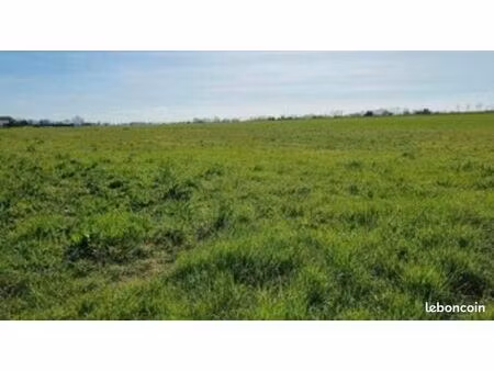 terrain 302 m² la rochelle