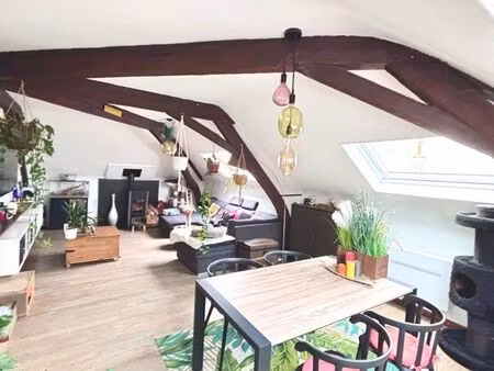 grand t2 bis - centre-ville ronchin