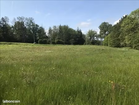 terrain 5 880 m² saint laurent sur gorre