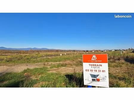 terrain 503 m² dannemarie