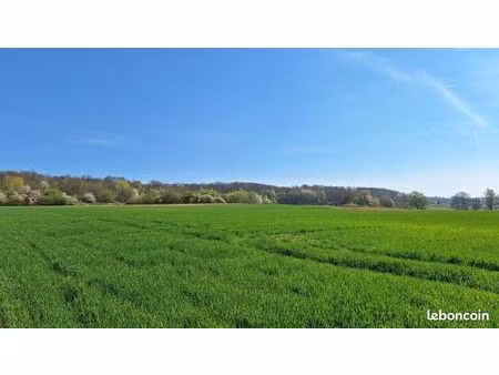 terrain 439 m² hirsingue