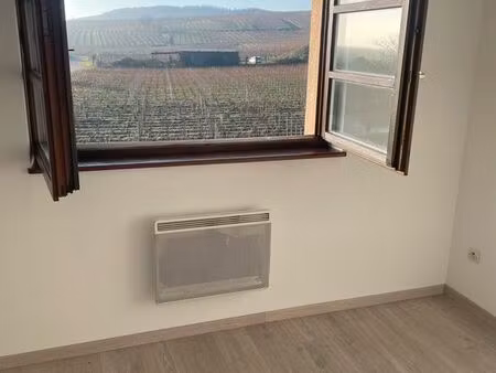 stop affaire f3 hors centre + petite pièce + cave+pkg privé