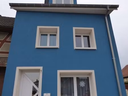 vends maison dannemarie