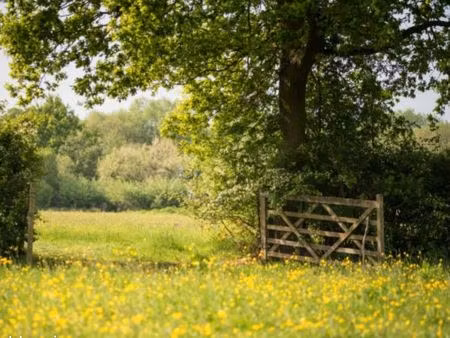 cherche petite terrain agricole / loisirs