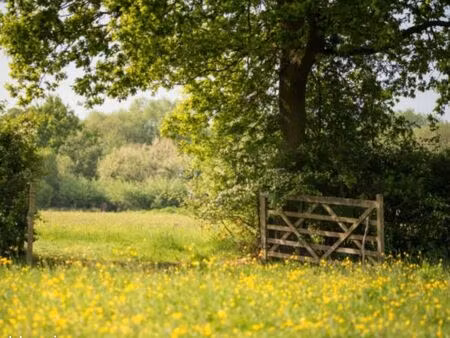 cherche petite terrain agricole