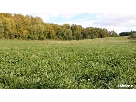 terrain ( pâture  bois  verger..)