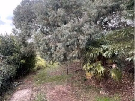 terrain constructible montech