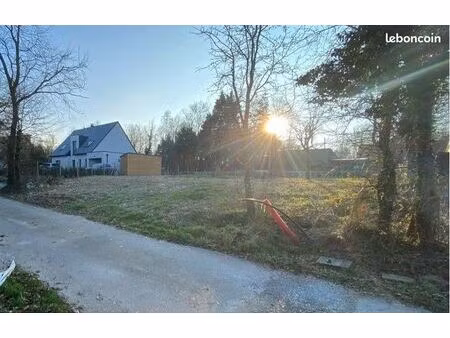 terrain constructible