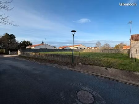 terrain constructible