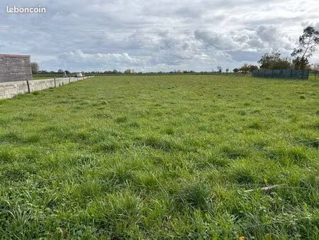 terrain constructible