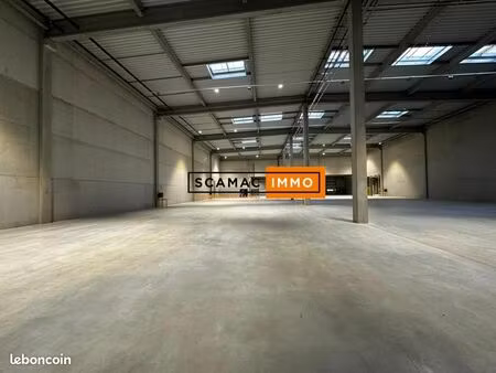 local logistique 3 256 m²