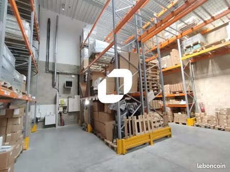 local d'activité 293 m²