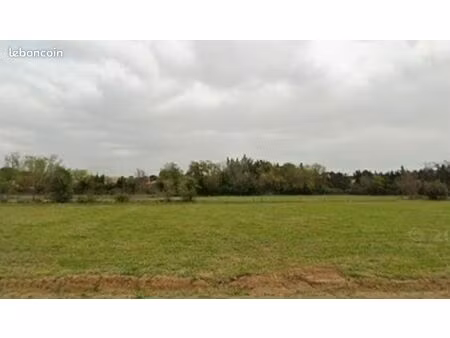 terrain 284 m² baillargues