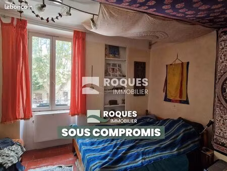 immeuble 555 m² lodève