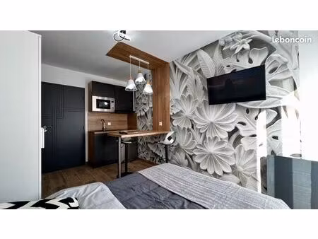 studio meublé  terrasse  jardin  jacuzzi billard ping-pong