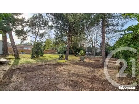 forêt 660 m² olonne sur mer