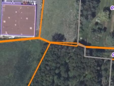 terrain naturel et forestier