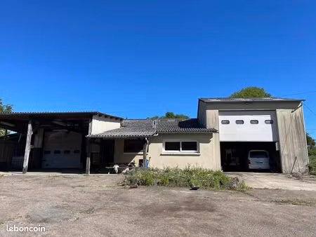 local d'activité 1 000 m²