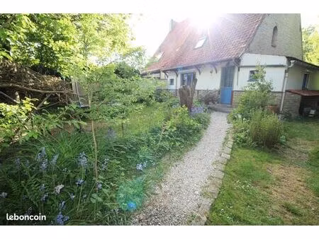 maison flamande 1 mitoyenneté crochte