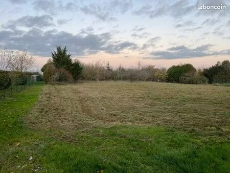 terrain constructible