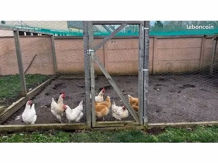 recherche parcelle à louer