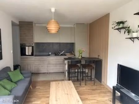 appartement t3 / 57m2 / montmein  oullins