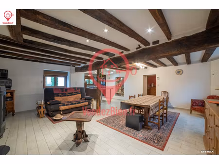 dpt cher (18)  à vendre soulangis maison p4 de 120m2 avec ga