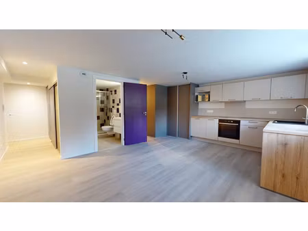 superbe studio à louer sur bavilliers en rez de jardin