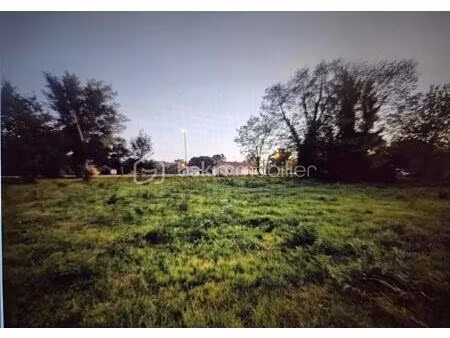 lotissement de 715 m² à levignacq