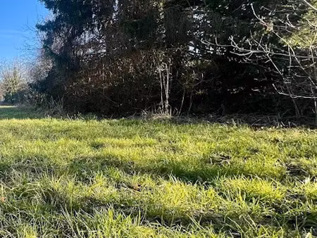 vente terrain à batir 599 m² à muttersholtz (67600)  127 500 €