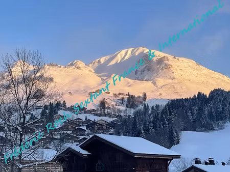 vente terrain à le grand-bornand (74450)  340 000 €