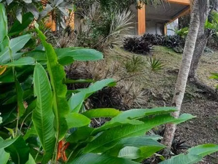 maison à louer abymes guadeloupe