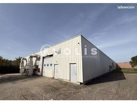 local d'activité 2 000 m²