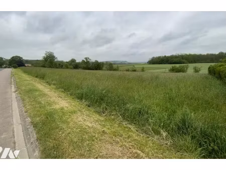 vente terrain à batir 919 m² à saint-euphraise-et-clairizet (51390)  100 000 €