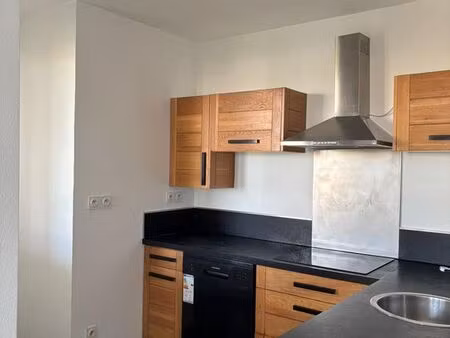 t2 refait à neuf - venissieux - avec terrasse et garage