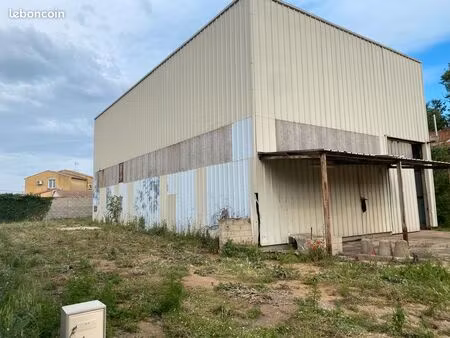 entrepôt  hangar industriel 300 m2 avec 900 m2 de terrain lansargues
