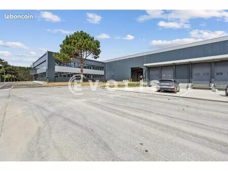 local industriel 6 972 m²