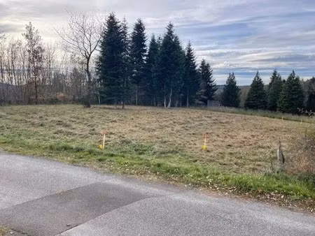 vente terrain 1120 m² à celles-sur-durolle (63250)  21 600 €