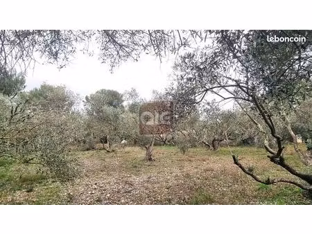 terrain 1500 m² montferrier-sur-lez