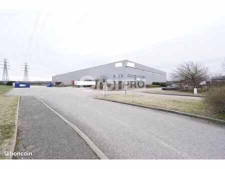 local d'activité 10 584 m²