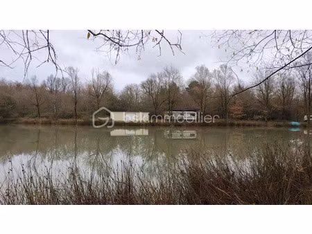 vente terrain 81372 m² à coullons (45720)  146 000 €