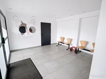 location – cabinet vétérinaire neuf (2024)