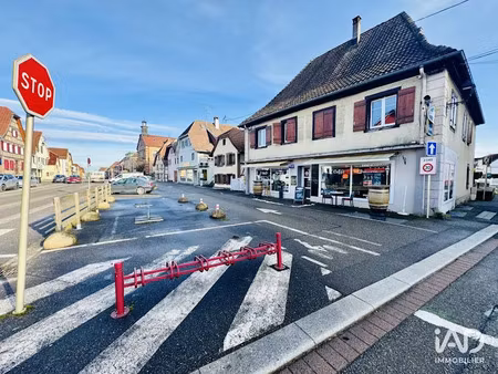 vente locaux professionnels 100 m² à dannemarie (68210)  60 500 €