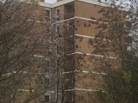 appartement saint saulve