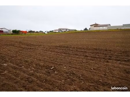 terrain 2641 m² montfaucon-en-velay